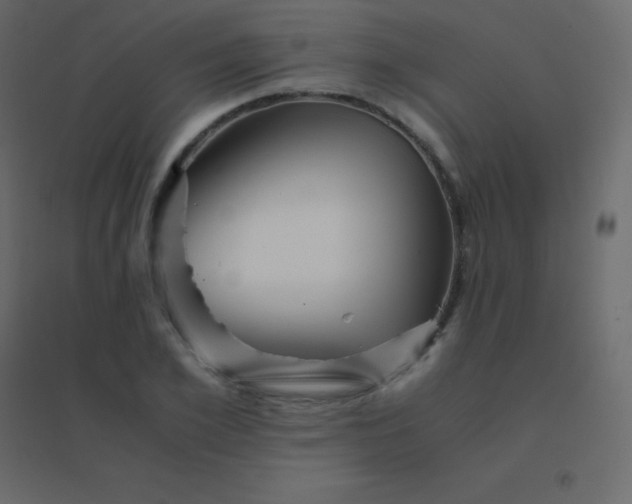 X0000094950981200712131618