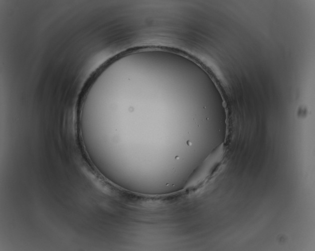 X0000094950982200712131618