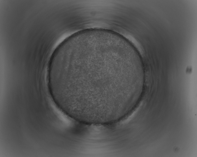 X0000094950983200712131618