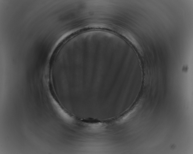 X0000094950984200712131618