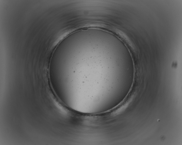 X0000094950985200712131618