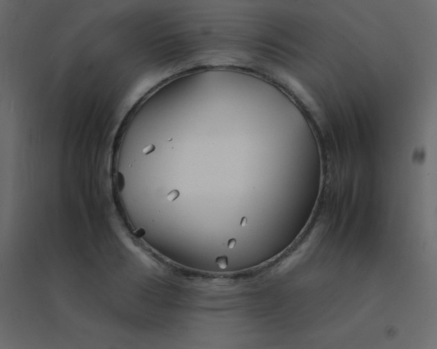 X0000094950986200712131618