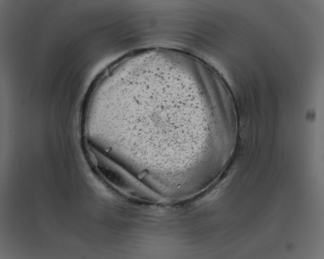 X0000094950987200712131618