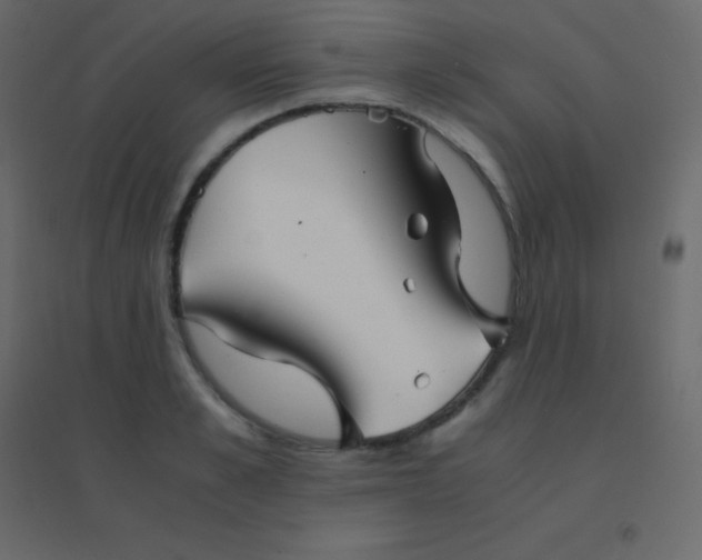 X0000094950989200712131618