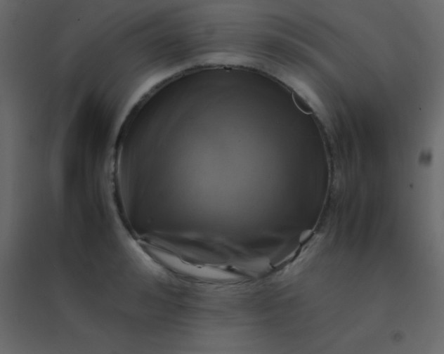 X0000094950992200712131618