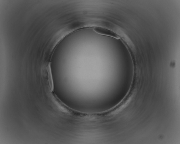 X0000094950993200712131618