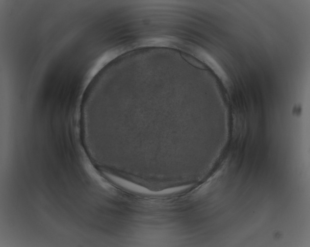 X0000094950994200712131618