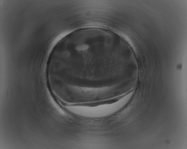 X0000094950995200712131618