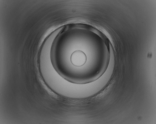 X0000094950997200712131618