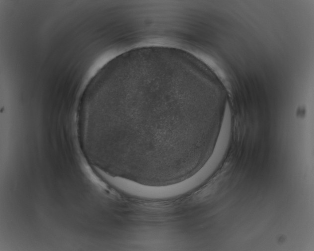 X0000094950998200712131618