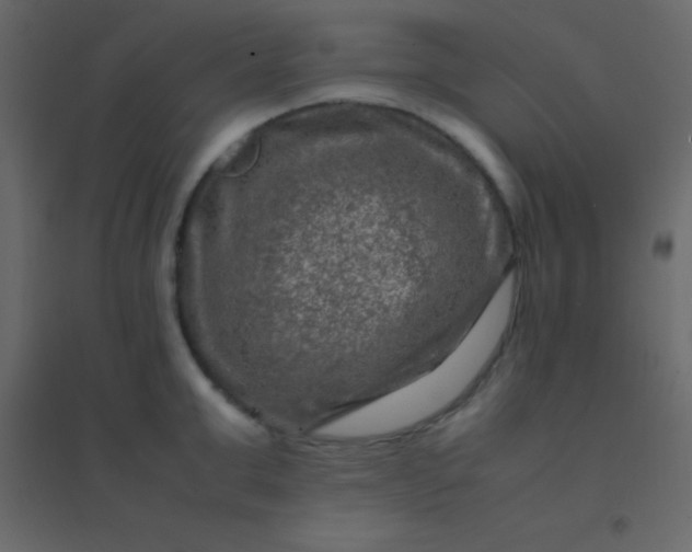 X0000094950999200712131618