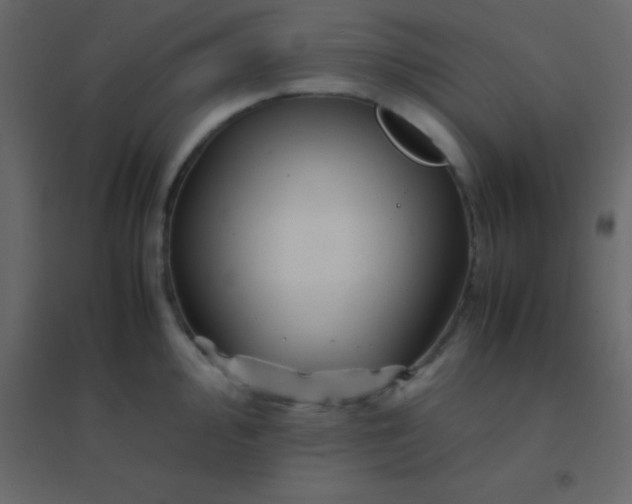 X0000094951000200712131618