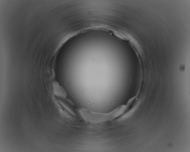 X0000094951001200712131618