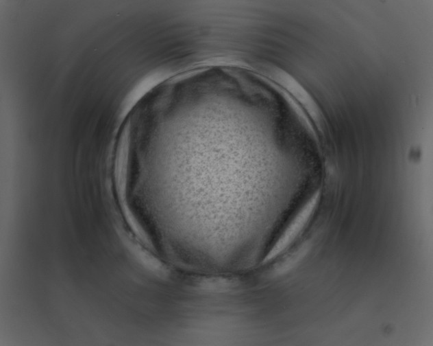 X0000094951002200712131618