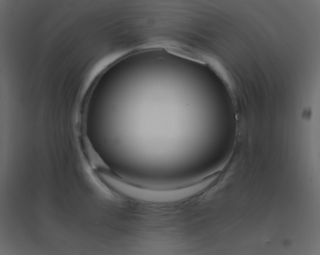 X0000094951003200712131618