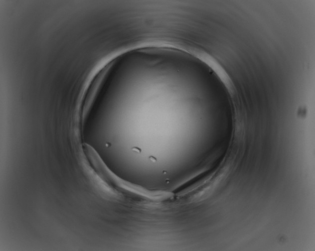 X0000094951004200712131618