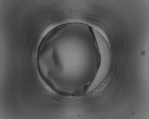 X0000094951005200712131618