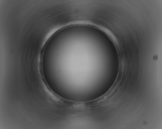 X0000094951006200712131618