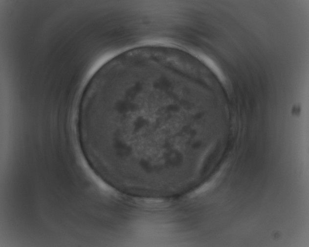 X0000094951007200712131618