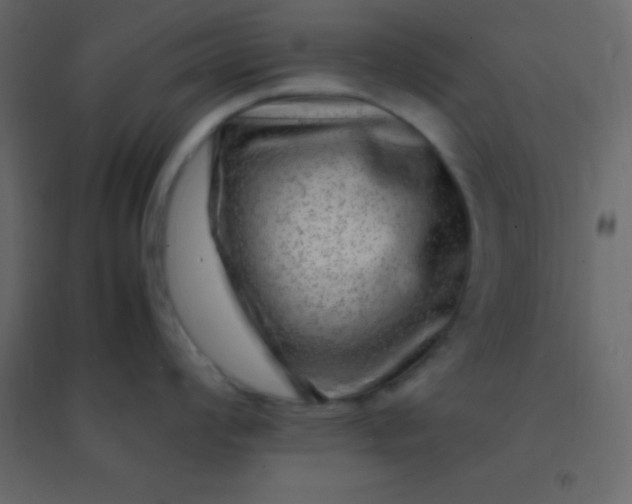 X0000094951008200712131618