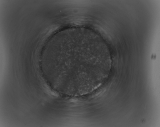 X0000094951009200712131617