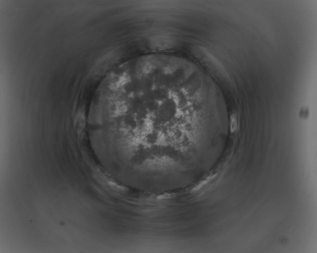 X0000094951011200712131617