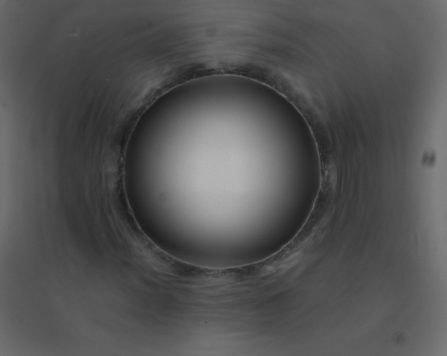 X0000094951012200712131617