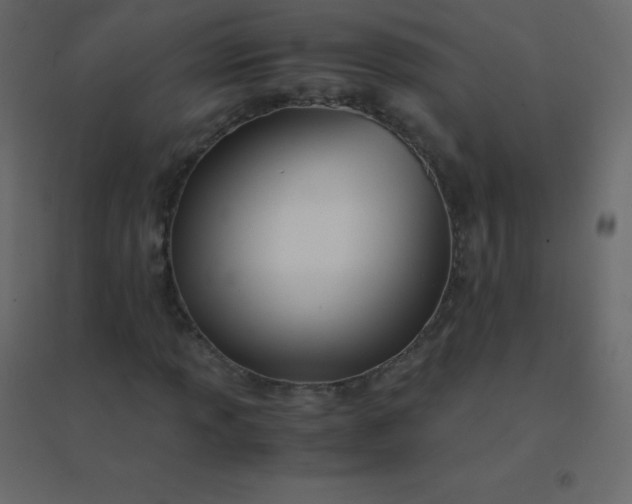 X0000094951013200712131617