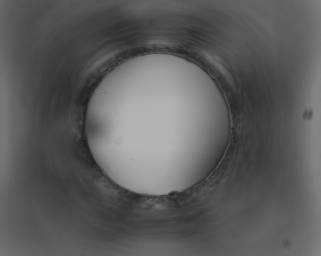 X0000094951015200712131617