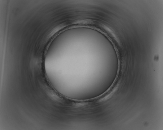 X0000094951017200712131617