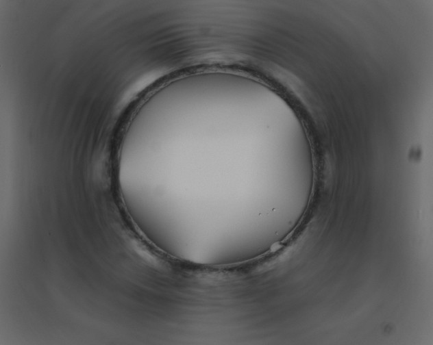 X0000094951018200712131617