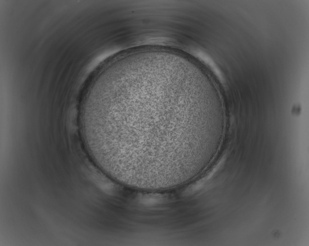 X0000094951019200712131617