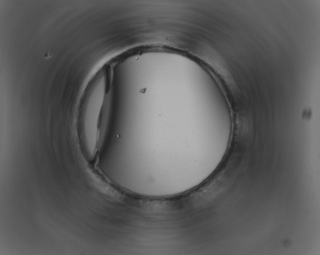 X0000094951020200712131617