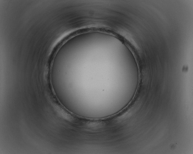 X0000094951021200712131617