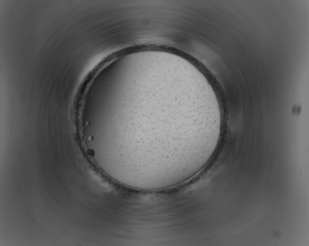 X0000094951022200712131617