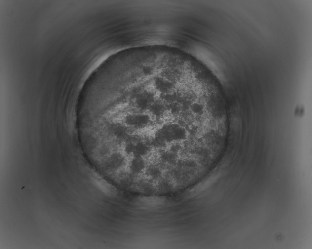 X0000094951023200712131617