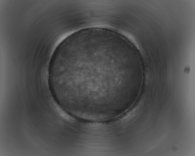 X0000094951024200712131617