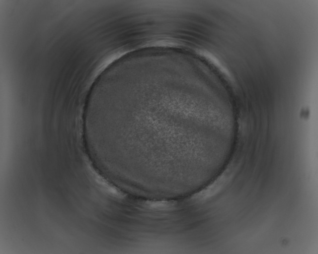 X0000094951025200712131617