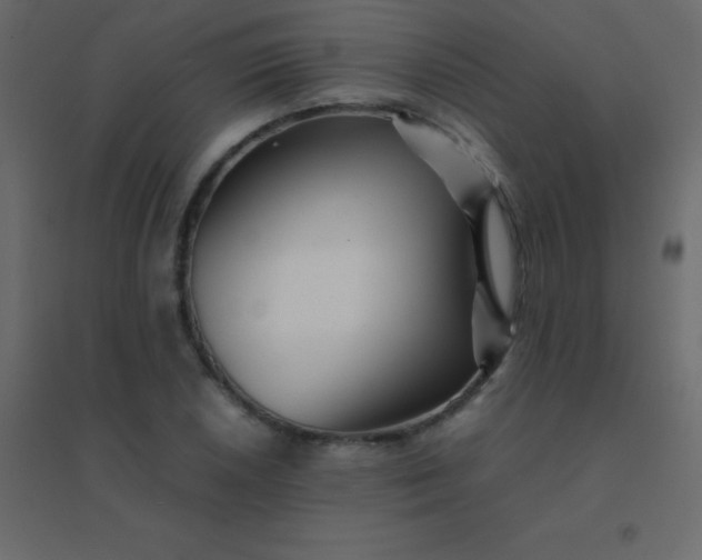 X0000094951026200712131617