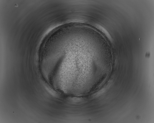 X0000094951027200712131618