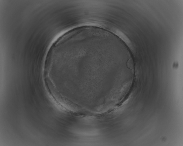 X0000094951028200712131618