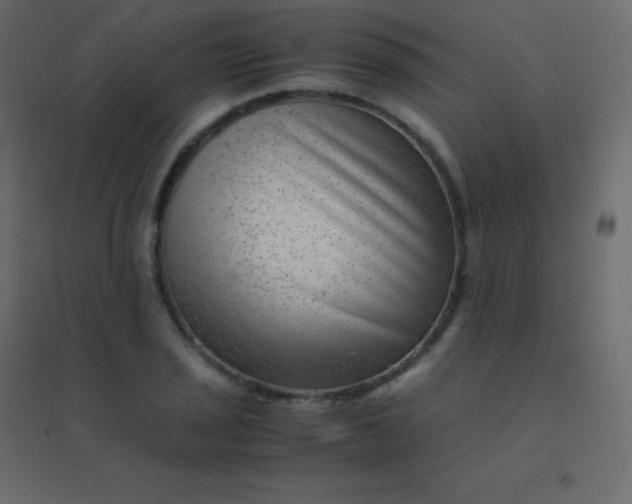 X0000094951029200712131618