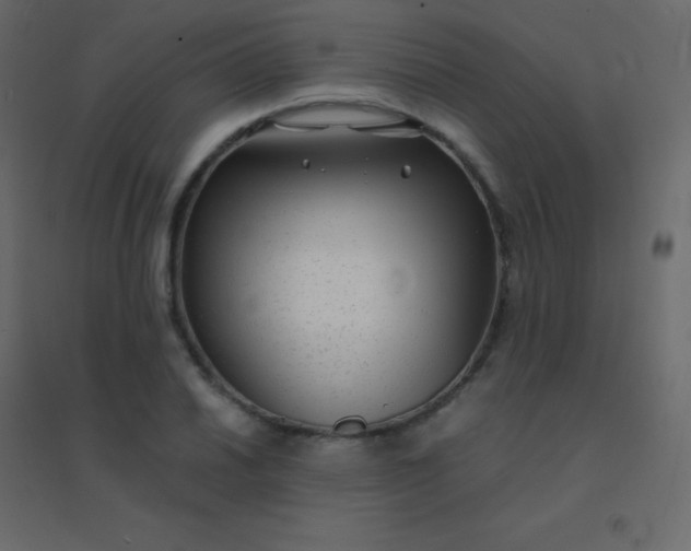 X0000094951030200712131618