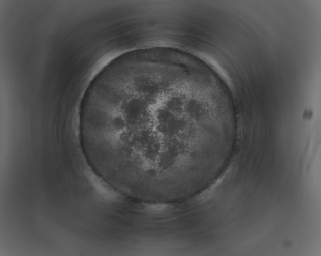 X0000094951031200712131618