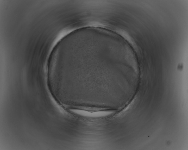 X0000094951032200712131618