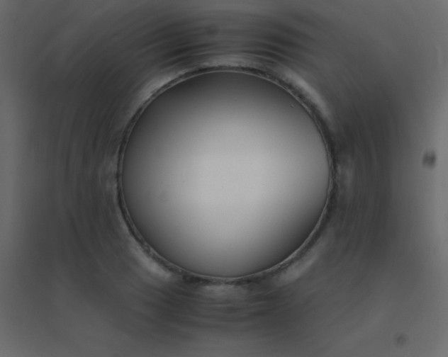 X0000094951033200712131618