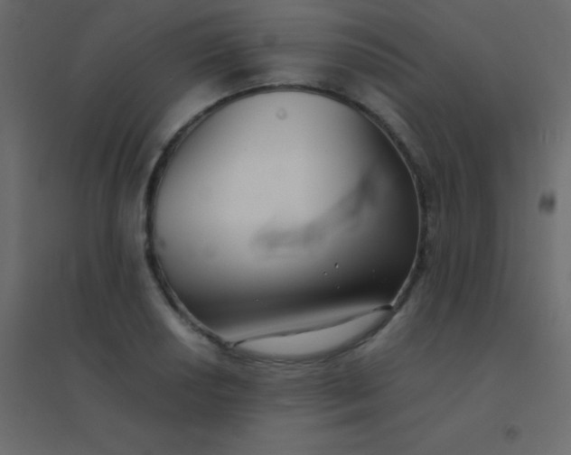 X0000094951034200712131618