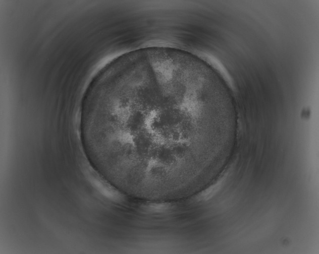 X0000094951035200712131618