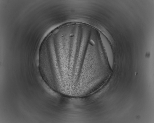 X0000094951036200712131618