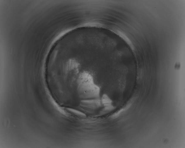 X0000094951037200712131618